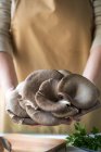 Close up view of female hands holding pleurotus mushrooms over kitchen table with board and ingredients — Stock Photo