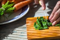 Crop image of hands slicing basil leaves on wooden board — Stock Photo