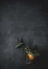 Вид мандарина с листьями — стоковое фото
