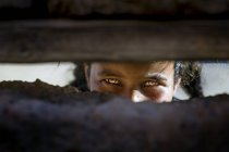 Menina olhando através de buraco em ruínas — Fotografia de Stock