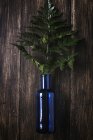 Above view of blue glass bottle with fern leaves lying on wooden table — Stock Photo