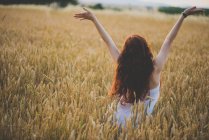 Rear view of young girl with long curly red hair posing with arms up on rye field — Stock Photo
