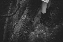 Обрезание женских ног висит на ветке дерева — стоковое фото