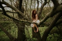 Дівчина-імбир позує на згинанні над гілкою дерева — стокове фото