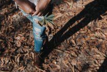 Olhando para baixo vista da fêmea em pé no parque e segurando folha de castanha em mãos — Fotografia de Stock