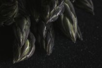 Fresh green asparagus on black — Stock Photo
