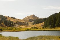 Лесное озеро в горах — стоковое фото