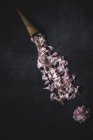 Вид зверху вафельний конус і лінія квітки цвіте на поверхні темного каменю — стокове фото