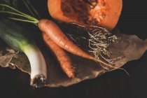 Primer plano de zanahorias frescas recogidas con hierba seca, puerro y calabaza - foto de stock