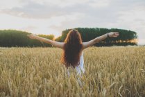 Back view of girl with curly red hair outstretching arms and standing on rye field at sunset — Stock Photo