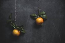 Vista de mandarinas en hilos - foto de stock