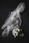 Квітковий візерунок з декількома ромашками і тканиною для погляду на темному столі — стокове фото