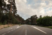 Forest road at countryside — Stock Photo