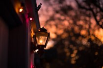 Фасад, украшенный сказочными огнями и лампой в вечерние сумерки — стоковое фото