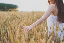 Cropped image of red haired girl walking at rye field and palming spikelets — Stock Photo