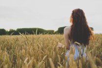 Вид сзади молодой девушки с вьющимися рыжими волосами, стоящей на ржаном поле и любующейся закатом — стоковое фото