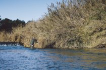 Вид ззаду на рибалку зі стрижнем на заміській річці — стокове фото