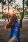 Вид сзади девушки, дергающей за руку в лучах заката в лесу — стоковое фото