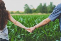 Cropped image of young woman with long red hair holding boyfriend's hand over green corn field on backdrop — Stock Photo