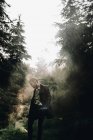 Retrato del hombre parado en el humo entre los bosques y mirando hacia abajo - foto de stock