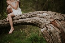 Нижняя часть девушки сидит на согнутом стволе дерева — стоковое фото