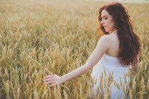 Rear view of girl with curvy hair in white dress walking in rye field and palming spikelets — Stock Photo