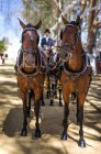 Fiera di Utrera a Siviglia, decorazione tipica e cavalli in Andalusia spagnolo — Foto stock