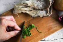 Над видом рук, нарезающих листья петрушки ножом на борту с плевротовыми грибами — стоковое фото