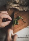 Above view of hands slicing parsley leaves on board with pleurotus mushrooms — Stock Photo