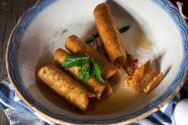 Vista ad alto angolo di tubi di pasta di miele fritti su piatto di ceramica — Foto stock