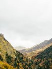Vue en perspective de longvalley avec des bois de conifères entre les chaînes de montagnes . — Photo de stock
