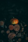 Orangener Kürbis auf einem Haufen Feuerholz — Stockfoto