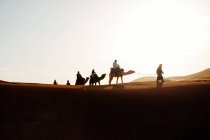 Caravane avec chameaux marchant dans les dunes de sable du désert sous le soleil . — Photo de stock