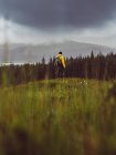 Back view of traveler with backpack standing on background of woods in rainy day. — Stock Photo