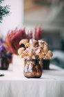 Flores secas en jarrón - foto de stock