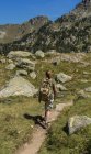 Rückansicht einer Ingwerfrau, die im Sommer durch das Tal wandert — Stockfoto