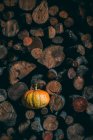 Помаранчевий гарбуз на купі дров — стокове фото