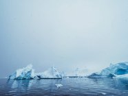 Ледники в море — стоковое фото