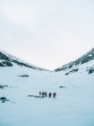 Fernsicht einer Touristengruppe, die auf einer verschneiten Bergwiese spazieren geht — Stockfoto