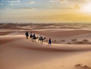Caravana caminando en el desierto - foto de stock