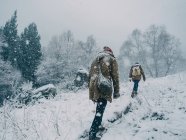 Вид ззаду люди піднімаються на пагорб у снігопаді в зимовому сільському ландшафті — стокове фото