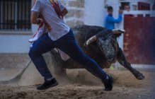 Тереодор, бегущий от быка по песку — стоковое фото