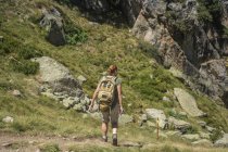 Вид ззаду жіночого мандрівника, що йде через гірську місцевість влітку — стокове фото