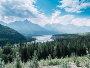 River in mountains forest — Stock Photo