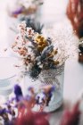 Сушеные цветы в вазе — стоковое фото