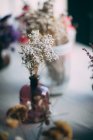 Dried flowers in vase — Stock Photo
