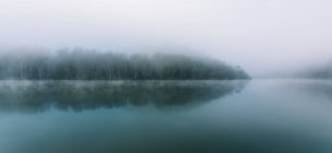 Panorama pittoresco della calma superficie del lago e alberi sulla riva nella fitta nebbia . — Foto stock