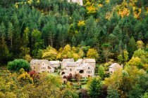 Casas residenciais em pequena aldeia colocada na floresta de outono . — Fotografia de Stock