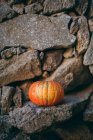 Pumpkin on stone wall — Stock Photo