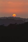 Vista idílica a la puesta de sol naranja sobre la colina y el bosque . - foto de stock